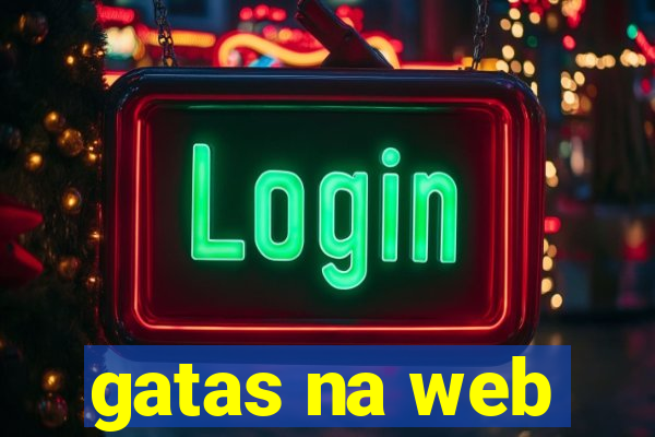 gatas na web